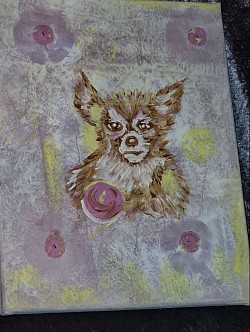 Angry Chihuahua