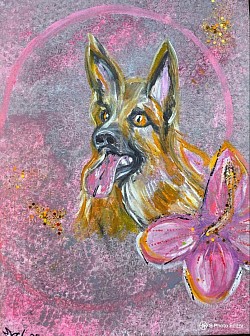 Schäferhund